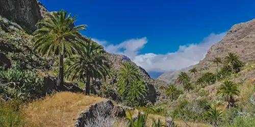 Paisaje Protegido de Orone